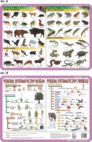 Podkładka edukacyjna. Biologia
