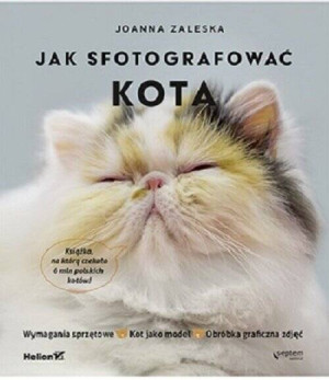 Jak fotografować kota
