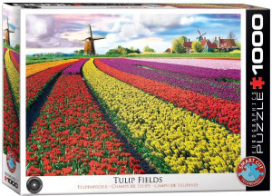 Puzzle 1000. Tulip fields