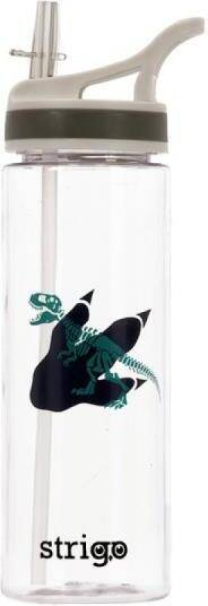 Bidon. Dinozaur