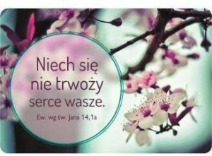 Magnes. Niech się nie trwoży serce wasze