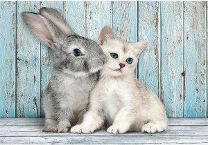 Puzzle 500. Compact. Cat & Bunny. 35539
