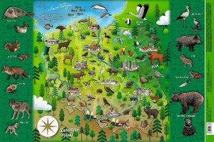 Podkładka Mappuzzle Junior - Zwierzęta Polski