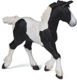Źrebię Pinto