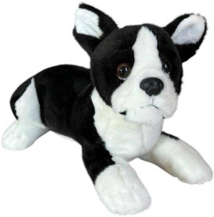 Pies boston terrier 28cm