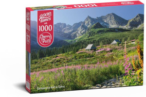 Puzzle 1000. Gąsienicowa hall in Tatras