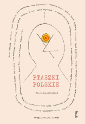 Ptaszki polskie