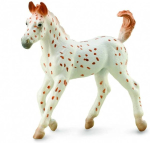 Koń Knabstrupper Foal
