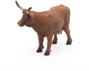 Krowa Salers