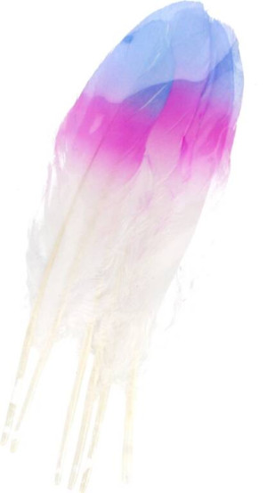 Piórka tęczowe 17-22cm 6szt