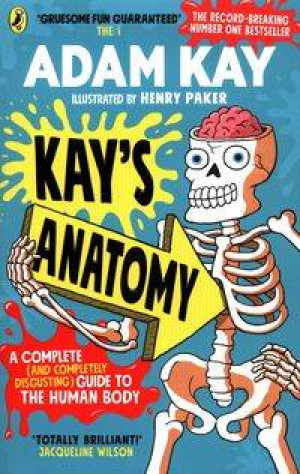 Kay's anatomy