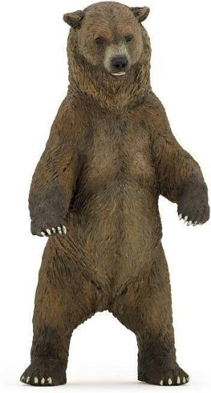 Niedźwiedź Grizzly