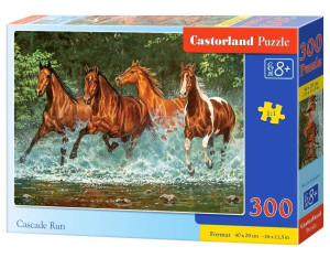 Puzzle 300. Cascade run