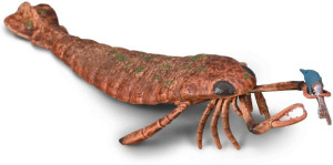 Collecta Jaekelopterus