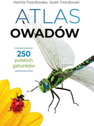Atlas owadów. 250 polskich gatunków