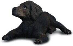 Pies labrador szczeniak