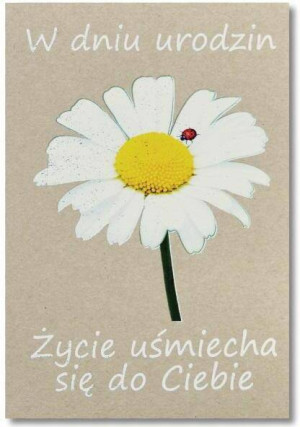 Kartka okolicznościowa Urodziny