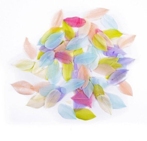 Pióra gęsie pastel 6cm 5g