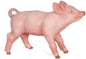 Prosię