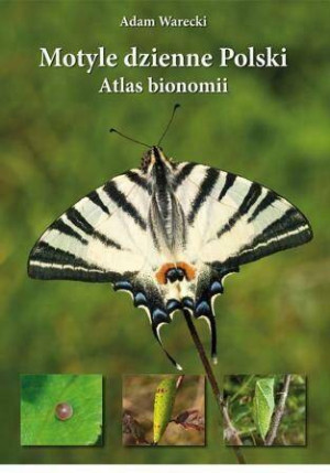 Motyle dzienne Polski. Atlas bionomii TW w.2021