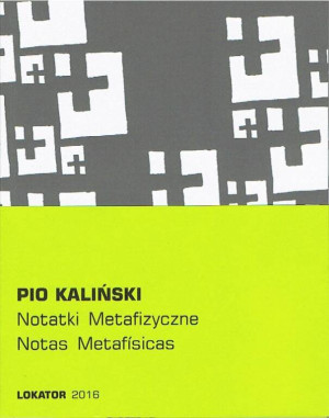 Notatki metafizyczne