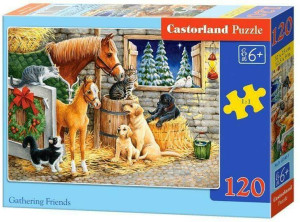 Puzzle 120. Gathering Friends