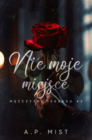 Mężczyźni Teksasu T.3 Nie moje miejsce