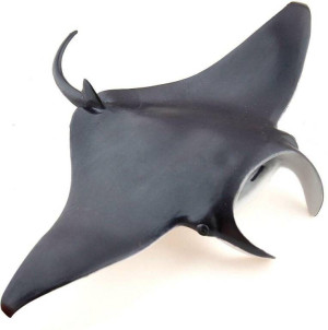 Manta