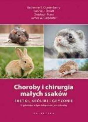 Choroby i chirurgia małych ssaków. Fretki, króliki, gryzonie