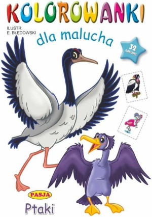 Ptaki. Kolorowanki dla malucha