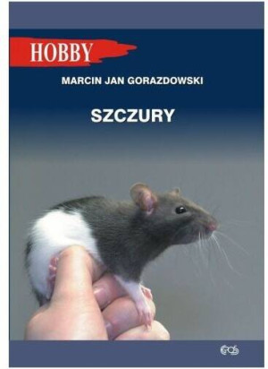 Szczury