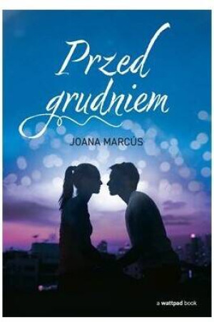 Przed grudniem. Tom 1