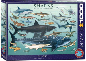 Puzzle 1000. Rekiny