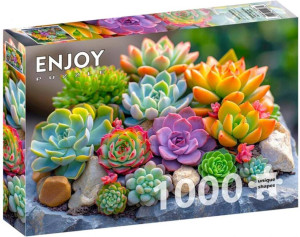 Puzzle 1000 Sukulenty