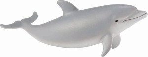 Delfin butlonosy młody