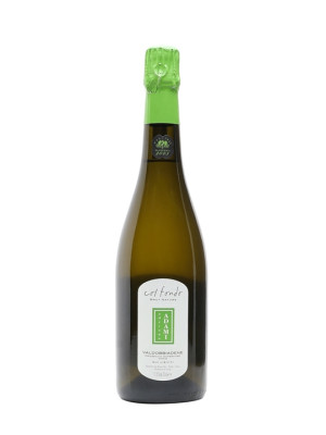 Adami Prosecco DOCG Col Fondo 2023