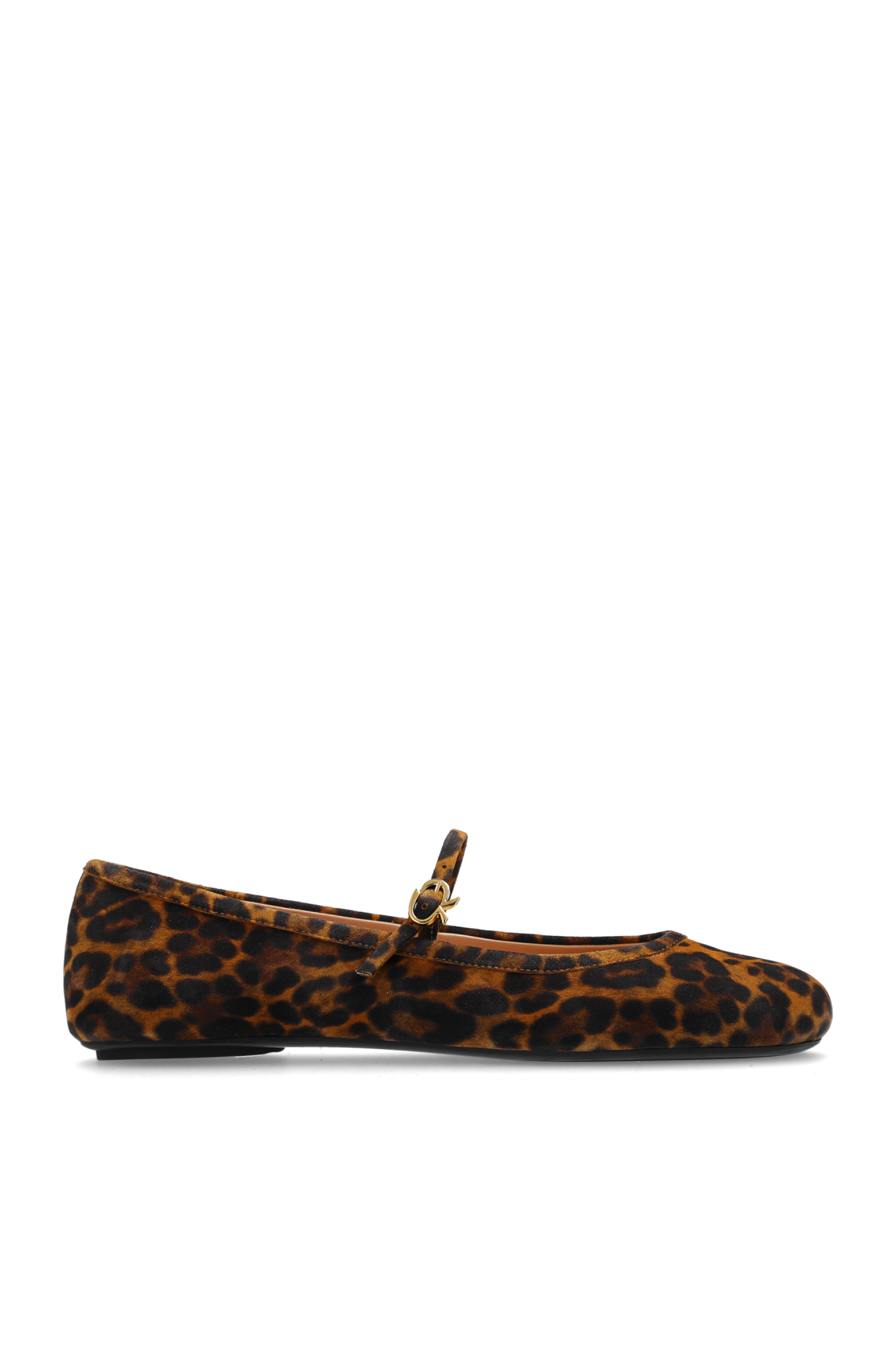 Gianvito Rossi Baleriny `Carla`, Kobiety, Brązowy