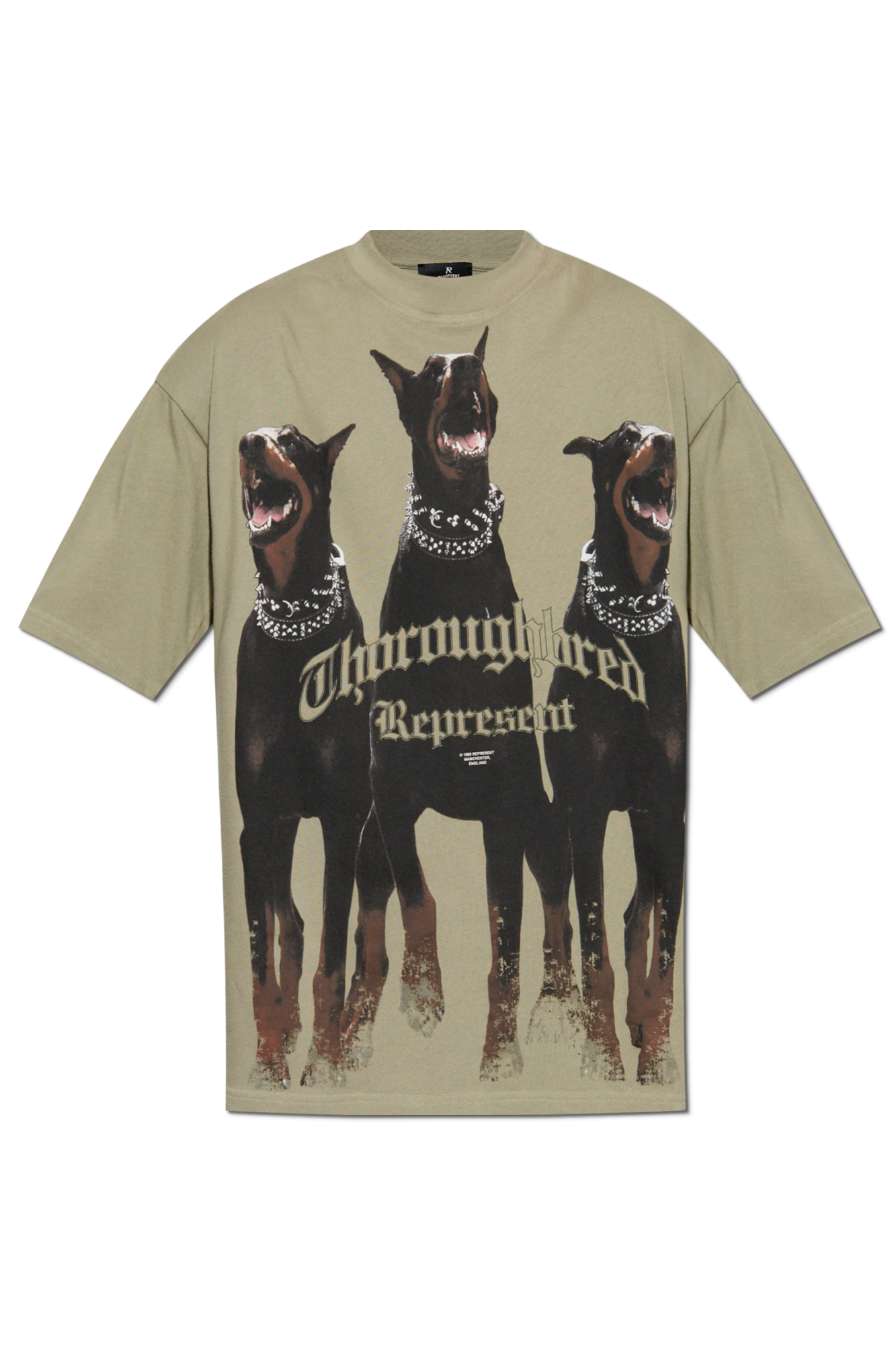 Represent T-shirt `Thoroughbred`, Mężczyźni, Zielony