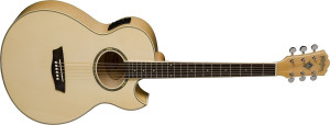 WASHBURN EA 20 (N) seria EA