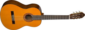 WASHBURN C 5 (N) seria C