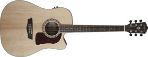 WASHBURN HD 20 SCE (N) - acoustic guitar