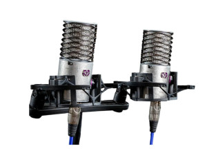 Aston Microphones Origin Stereo Pair - Kondensa...