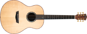 WASHBURN BTS 24 S (N) - acoustic guitar