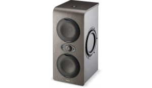 ‌Focal SHAPE TWIN - monitor