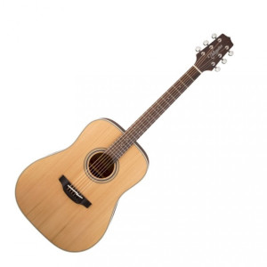TAKAMINE GD20-NS