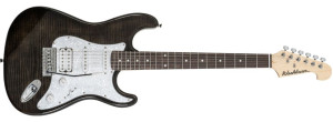 ‌WASHBURN SD (FTB) - Elektrische Gitarre