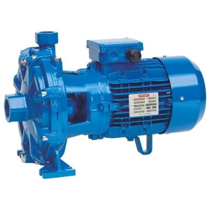Speroni 2CM/C 25/160 A - Elettropompa Centrifuga Bigirante