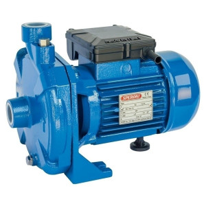 Speroni CM 22 - Elettropompa Centrifuga Monogirante 1"