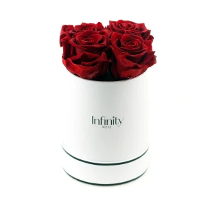Czerwone wieczne róże średni biały flower box Infinity Rose - Royal Red