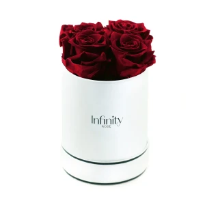 Burgundowe wieczne róże średni biały flower box Infinity Rose